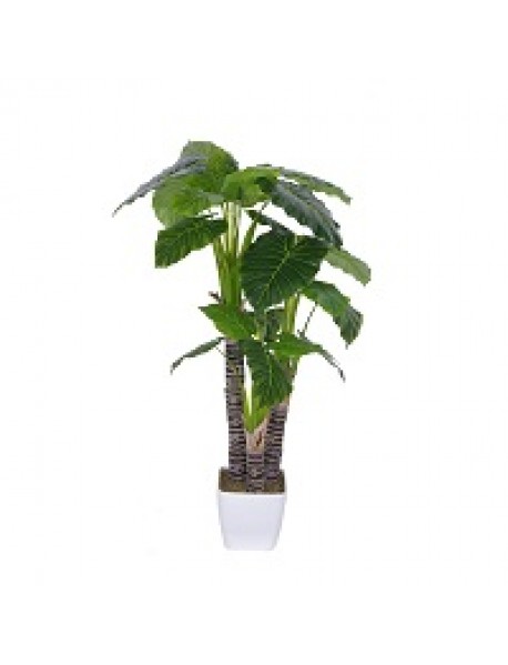 Artificial plant/tree 170cm A286TA
