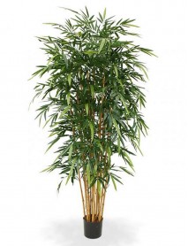 Artificial plant/tree 210cm B107TAI