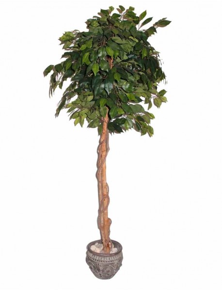 Kunstlik taim/puu 150cm Ficus B313TA