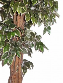 Artificial plant/tree 180cm Ficus B317TL