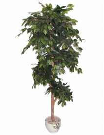 Artificial plant/tree 180cm Ficus D317TC