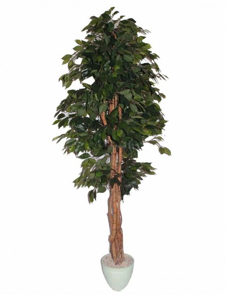 Mākslīgais augs/koks 180cm Fikuss D317TD