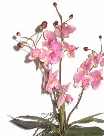 Mākslīgais augs 70cm Orhideja F699BAD