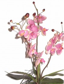 Dirbtinė gėlė 70cm Orchidėja F699BAD