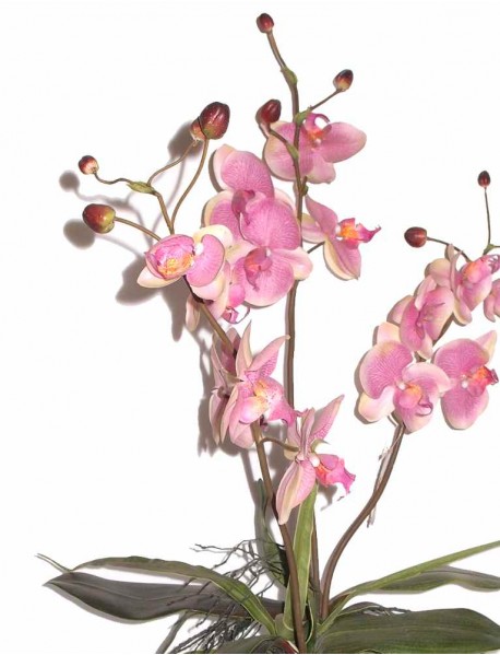 Dirbtinė gėlė 70cm Orchidėja F699BAD