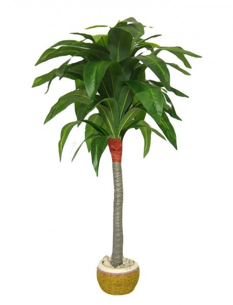 Mākslīgais augs/koks 110cm Dracēna B217TC