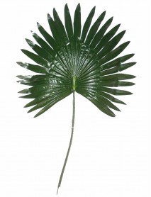 Artificial palm leaf 70cm S3047