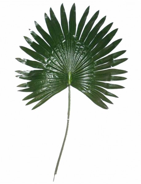 Artificial palm leaf 70cm S3047